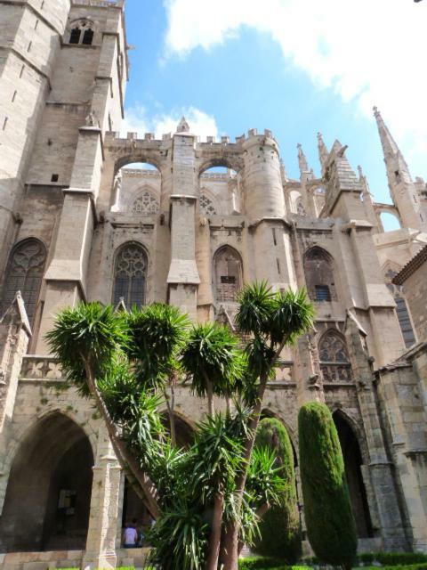 纳博讷A L'Ombre De La Cathedrale公寓 外观 照片
