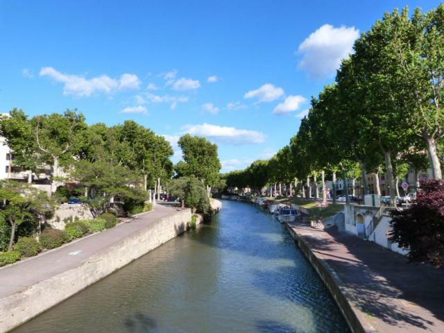 纳博讷A L'Ombre De La Cathedrale公寓 外观 照片